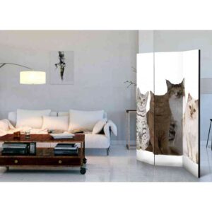 4Home Fotodruck Paravent mit Katzen Motiv modern