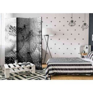 4Home Spanische Wand mit Pusteblumen und Regentropfen modern