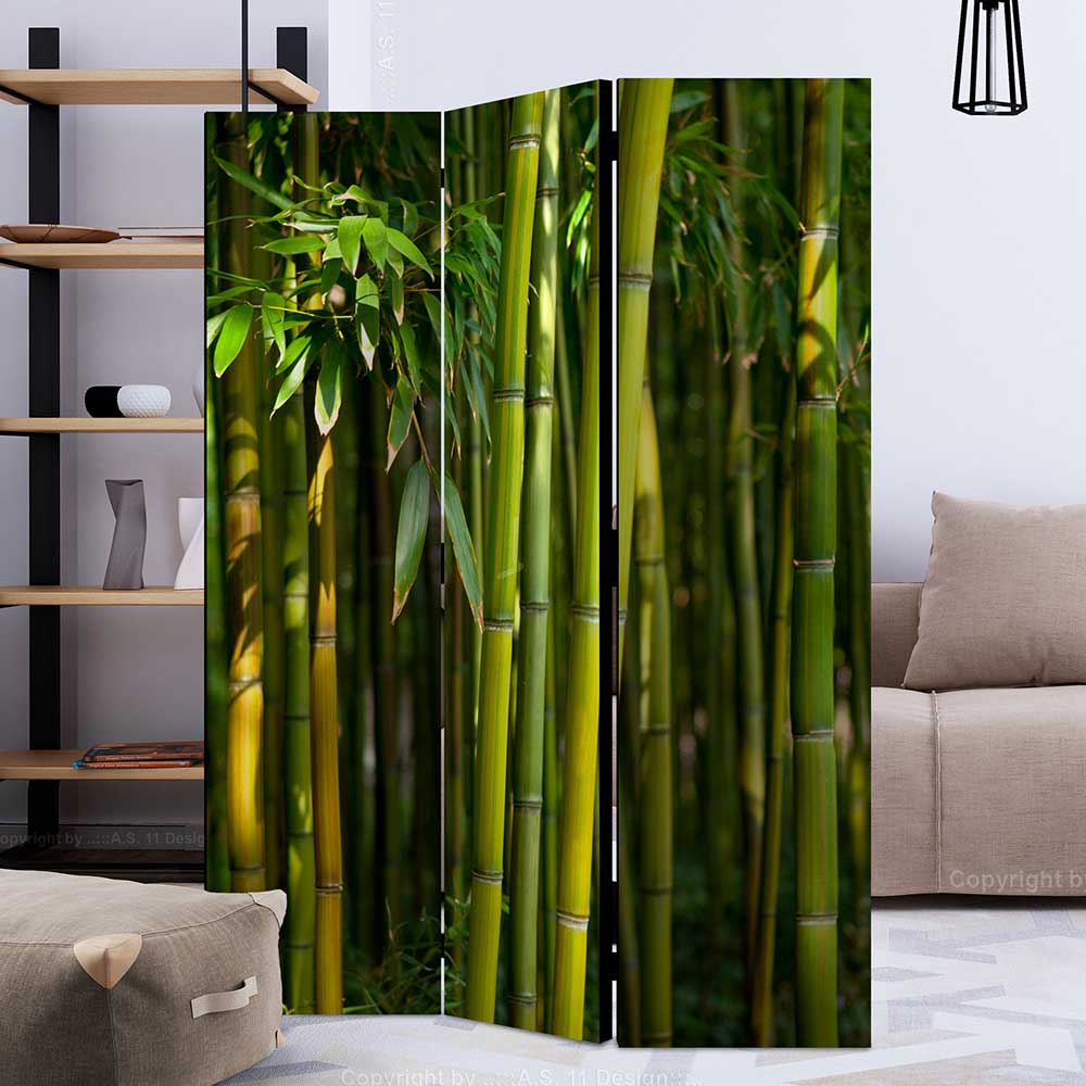 4Home Trennwand in Grün Bambus Wald Motiv