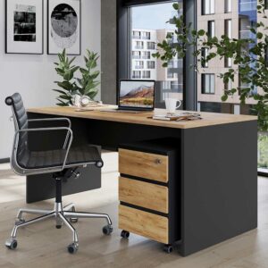 Möbel Exclusive Home Office Schreibtisch mit Rollcontainer Knieraumblende (zweiteilig)