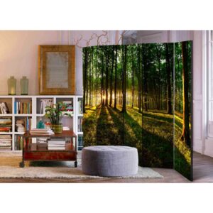 4Home Spanischer Raumteiler mit Wald Motiv bei Sonnenaufgang 225 cm breit