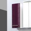 Star Möbel Hängeschrank für Bad Aubergine Hochglanz