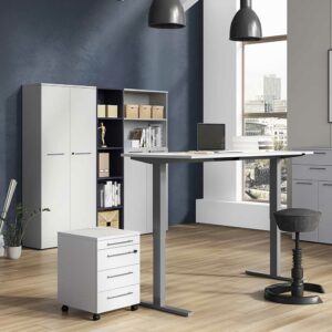 Möbel Exclusive Büromöbel Komplettset in Lichtgrau höhenverstellbarem Schreibtisch (fünfteilig)